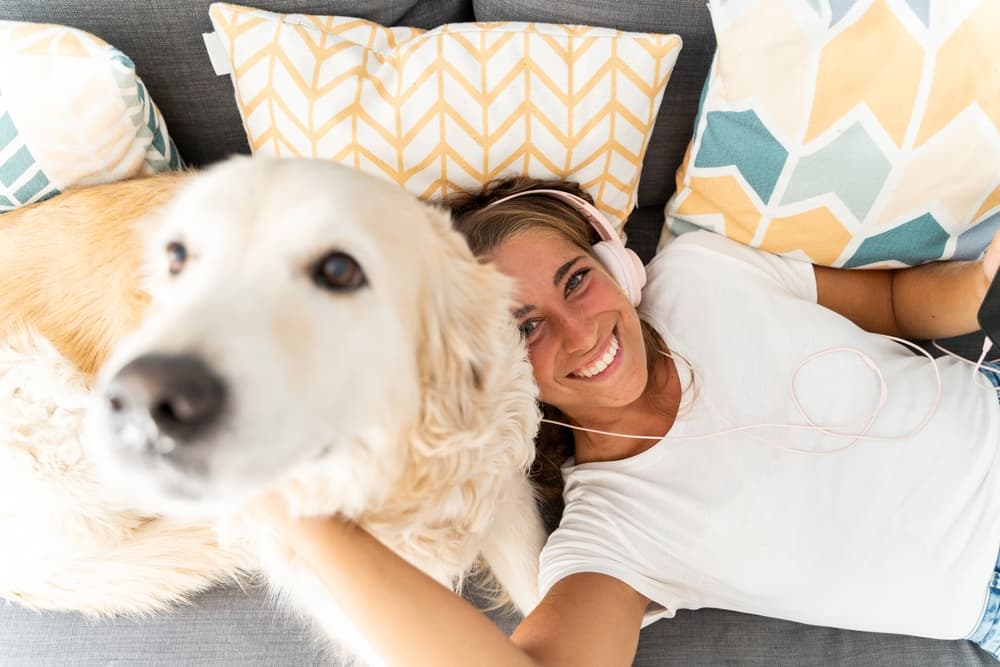 Happy dog with owner listening to music