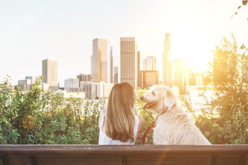 10 Best DogFriendly Hikes in Los Angeles Great Pet Living