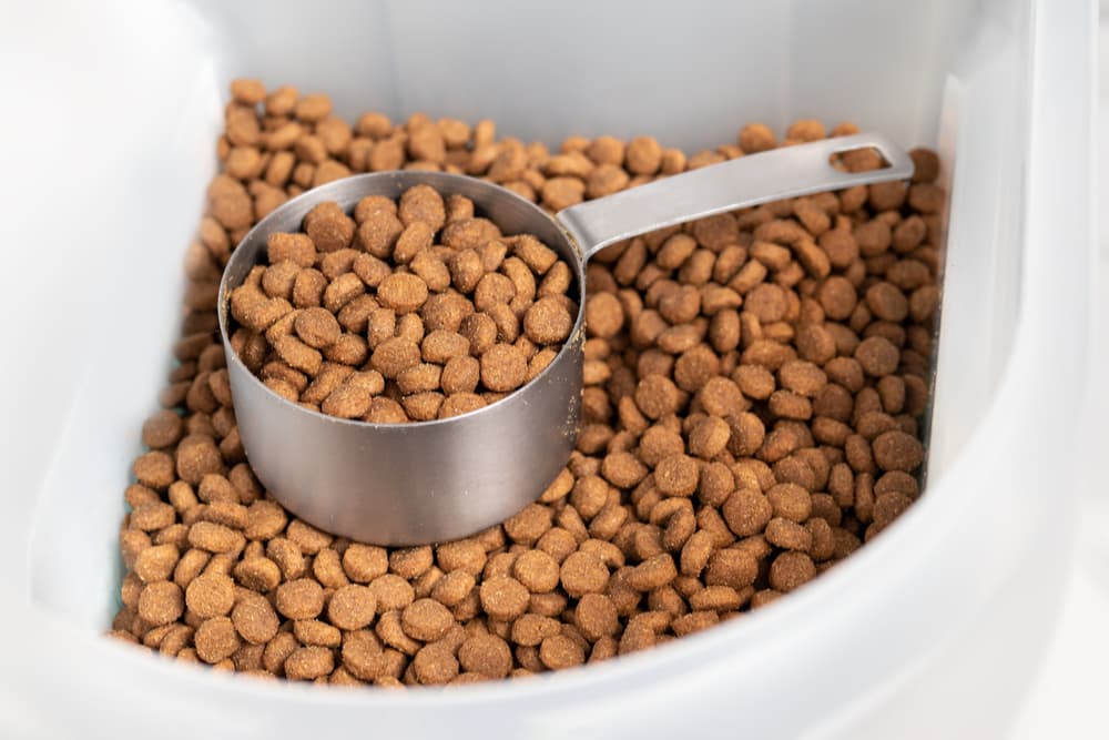 Diy dog food clearance puzzle