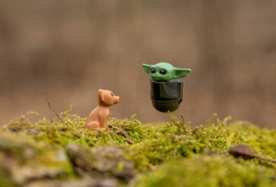 Star Wars Quiz: Which Movie Character Would Your Dog Be?
