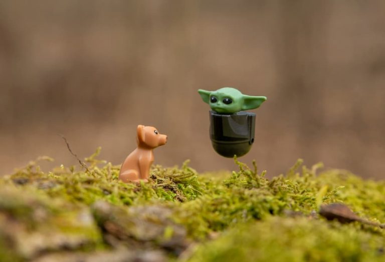 Dog and Yoda