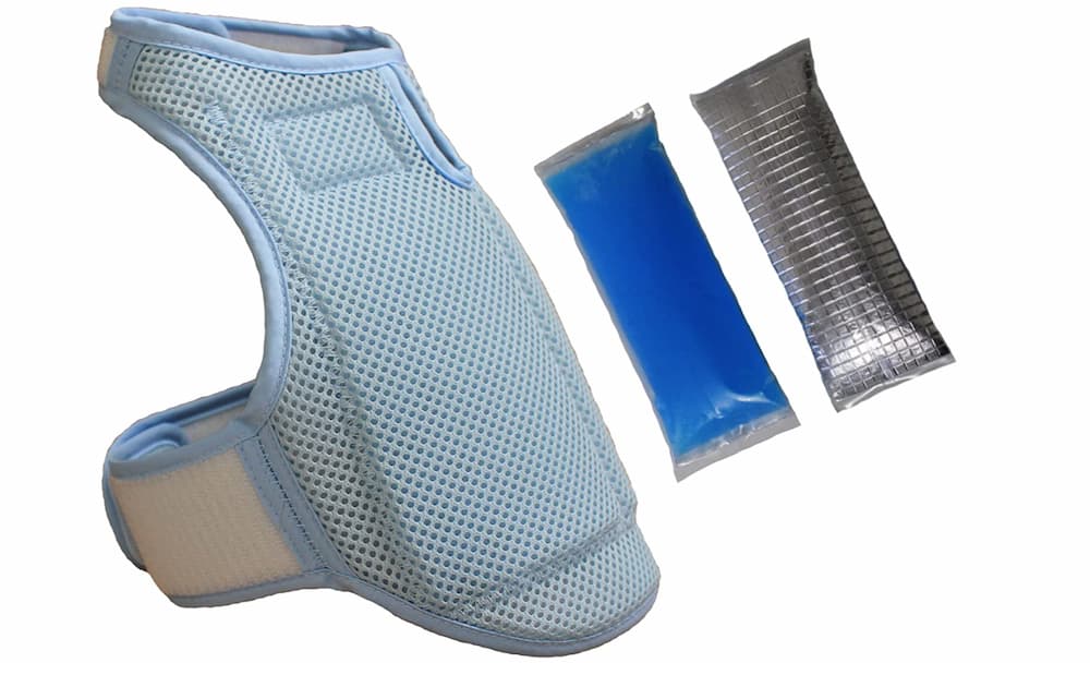 HORAY World Cooling Vest for Dogs