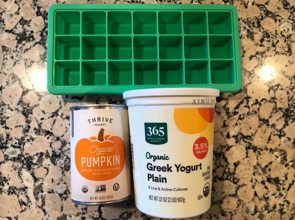 frozen pumpkin and yogurt dog treats