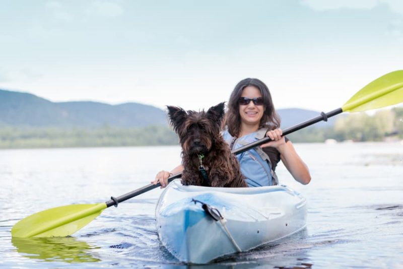 Kayaking With a Dog Tips and 6 DogFriendly Kayaks to Consider Great
