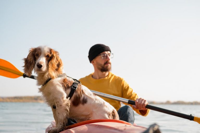 Kayaking With a Dog Tips and 6 DogFriendly Kayaks to Consider Great
