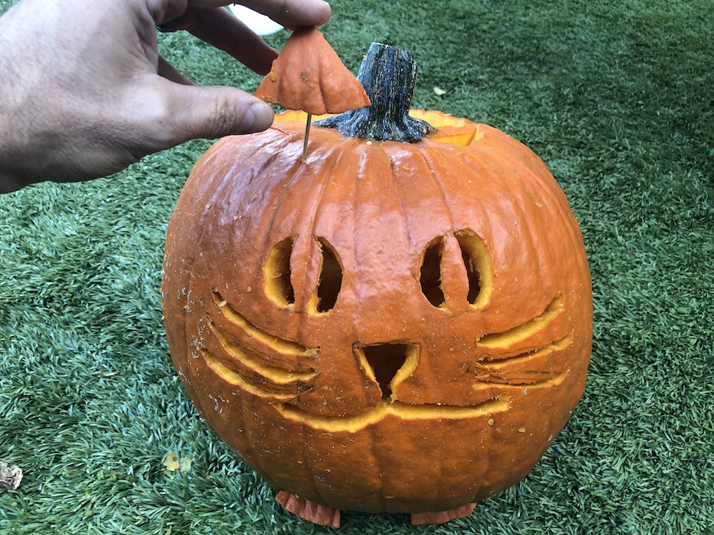 Cat Pumpkin Carvings Cat Pumpkin Carvings