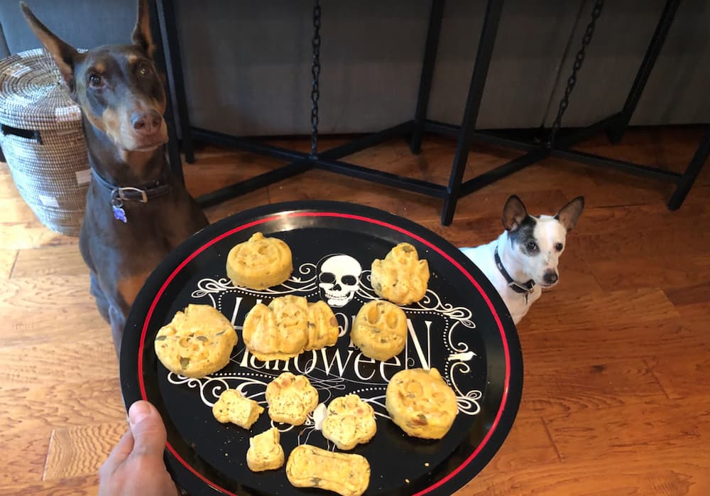 Homemade peanut butter Halloween dog treats