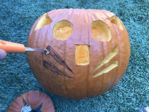 5 Cat Pumpkin Carving Ideas to Try at Home - Great Pet Living