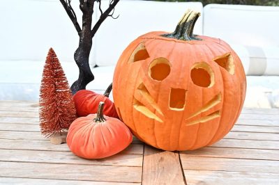 5 Cat Pumpkin Carving Ideas to Try at Home