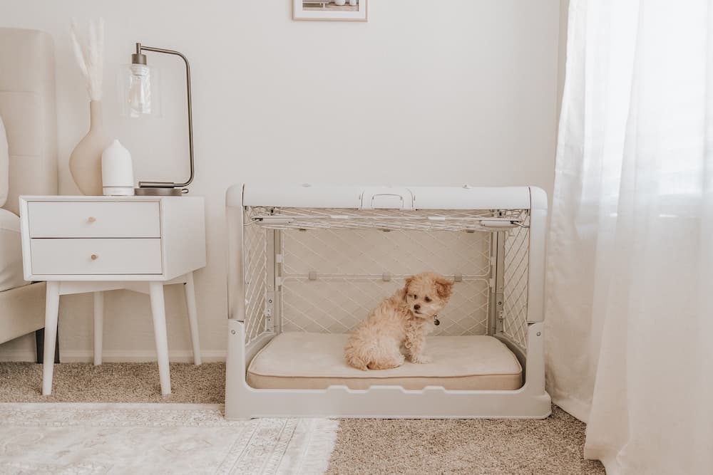Modern Dog Crates: 7 Stylish Safe Havens Modern Dog Crates: 7 Stylish Safe Havens
