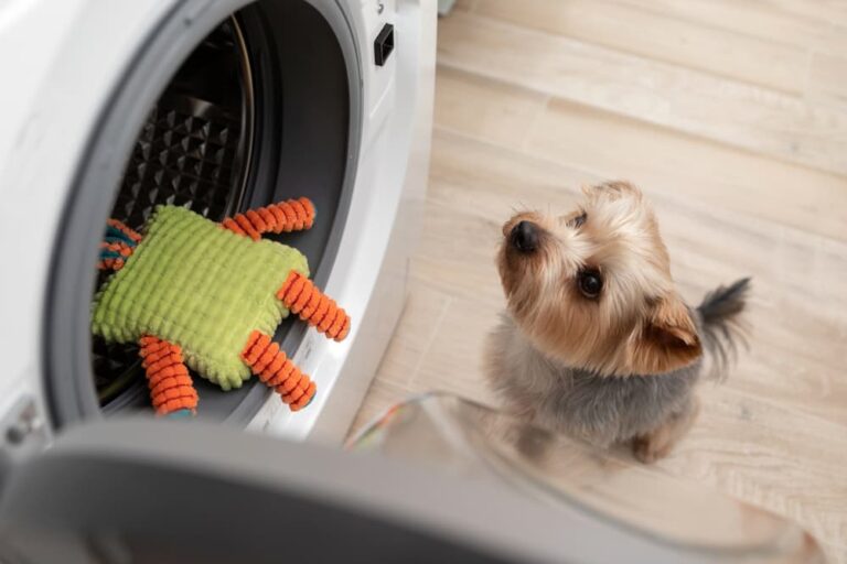 Dog toy in washing machine