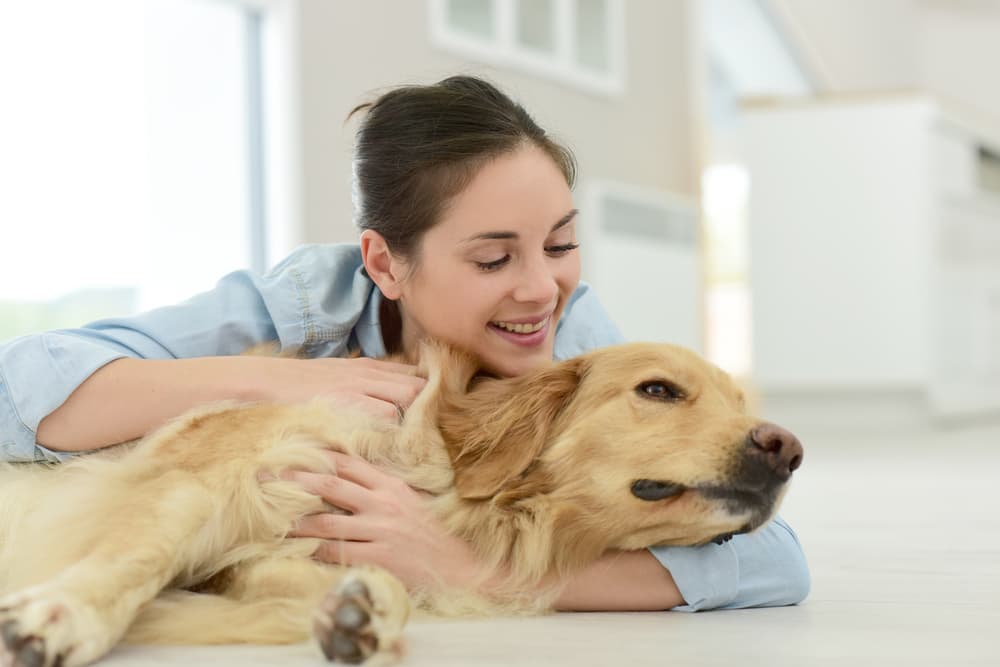 3 Reasons Dogs Like to Be Pet Great Pet Living